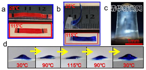 清华大学提出制备可塑形液晶弹性体材料新方法